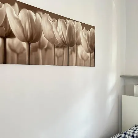 بيت ضيافة Apart Lwowska